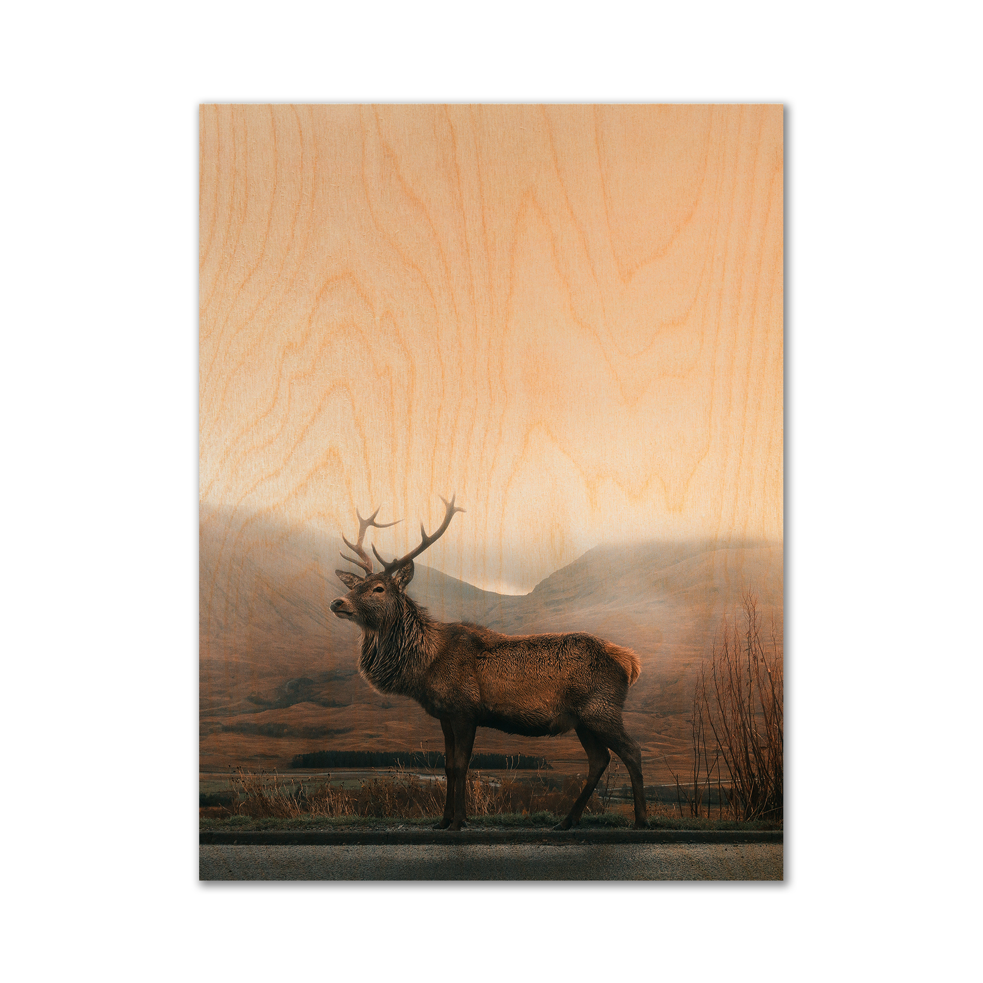 WildHeart_SquareMockUps_Blanks