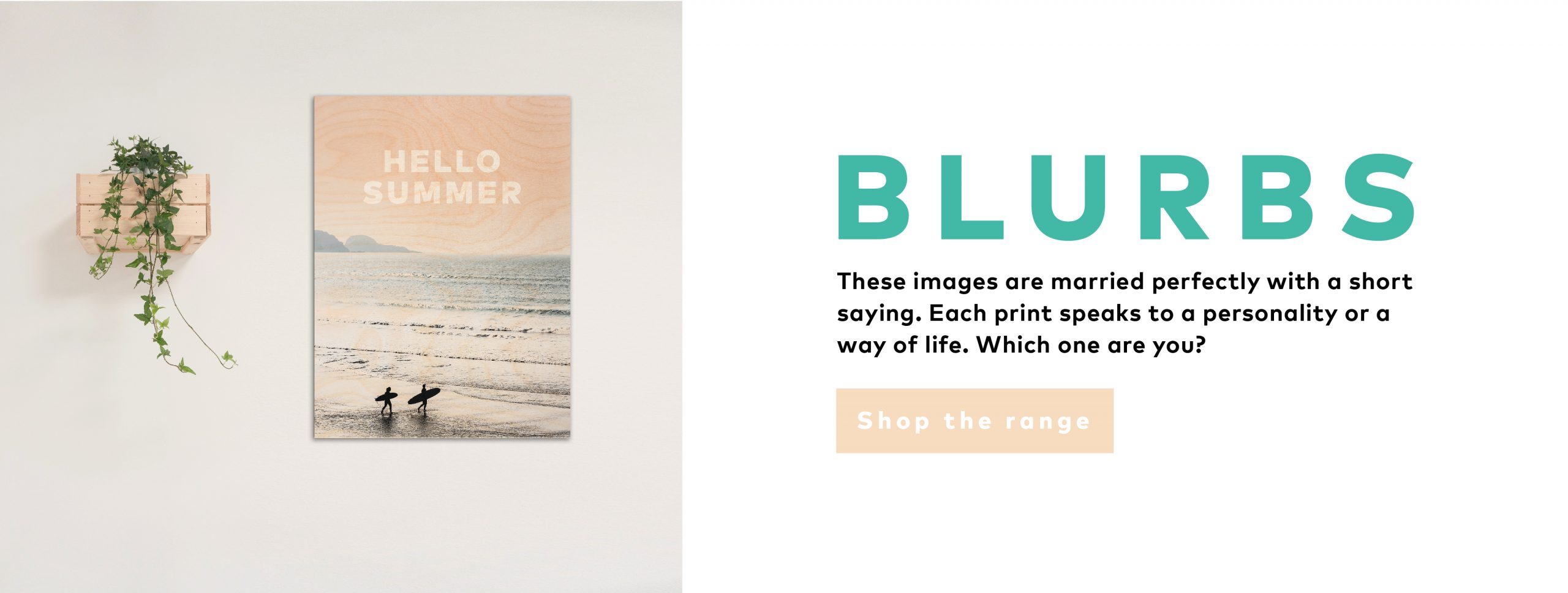 Shop Blurbs